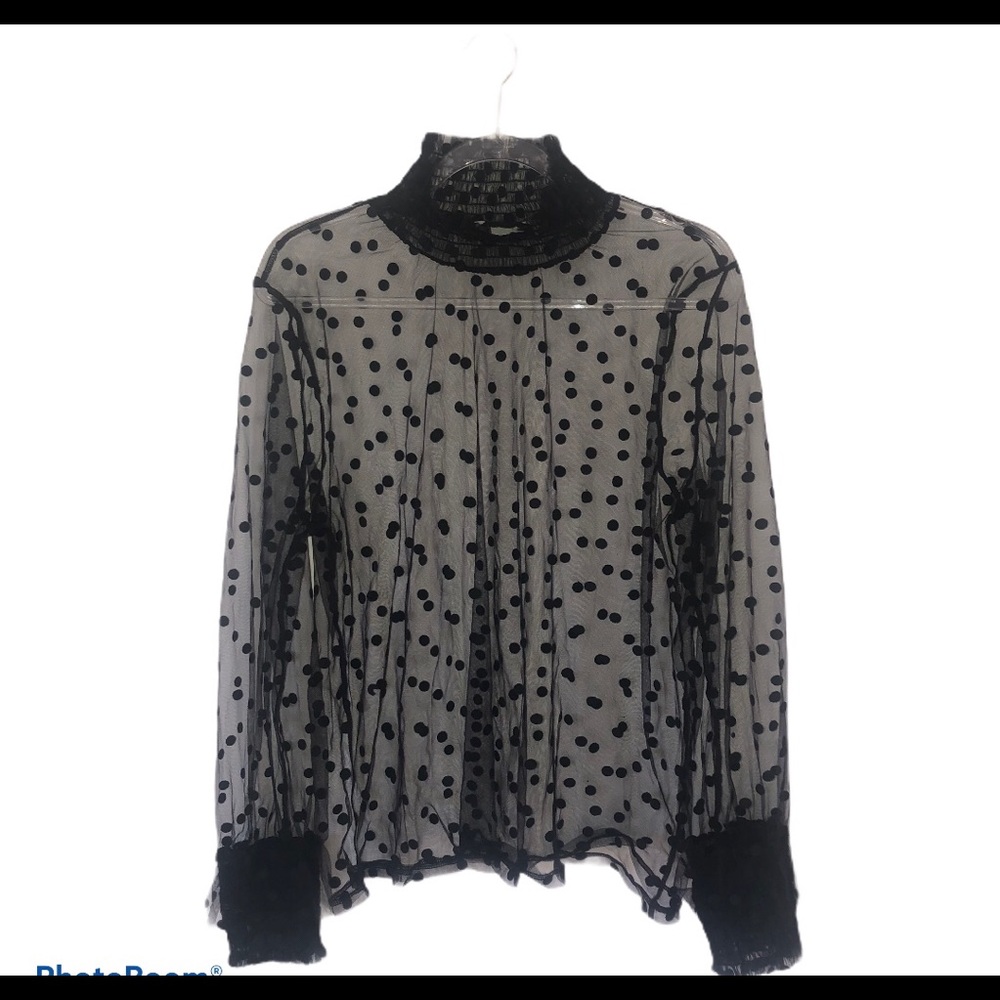 Swiss Dot Sheer Long Sleeve Black Top Whimsigoth Fairy Witchy Victorian Sz M/L